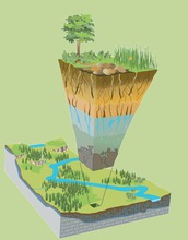Where rock meets life: Earth's critical zone extends from tree canopy to bedrock.